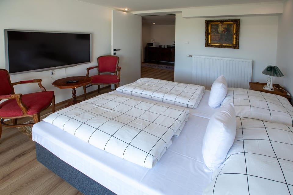 Apartman louis A102 Bed and Breakfast in Slovakia