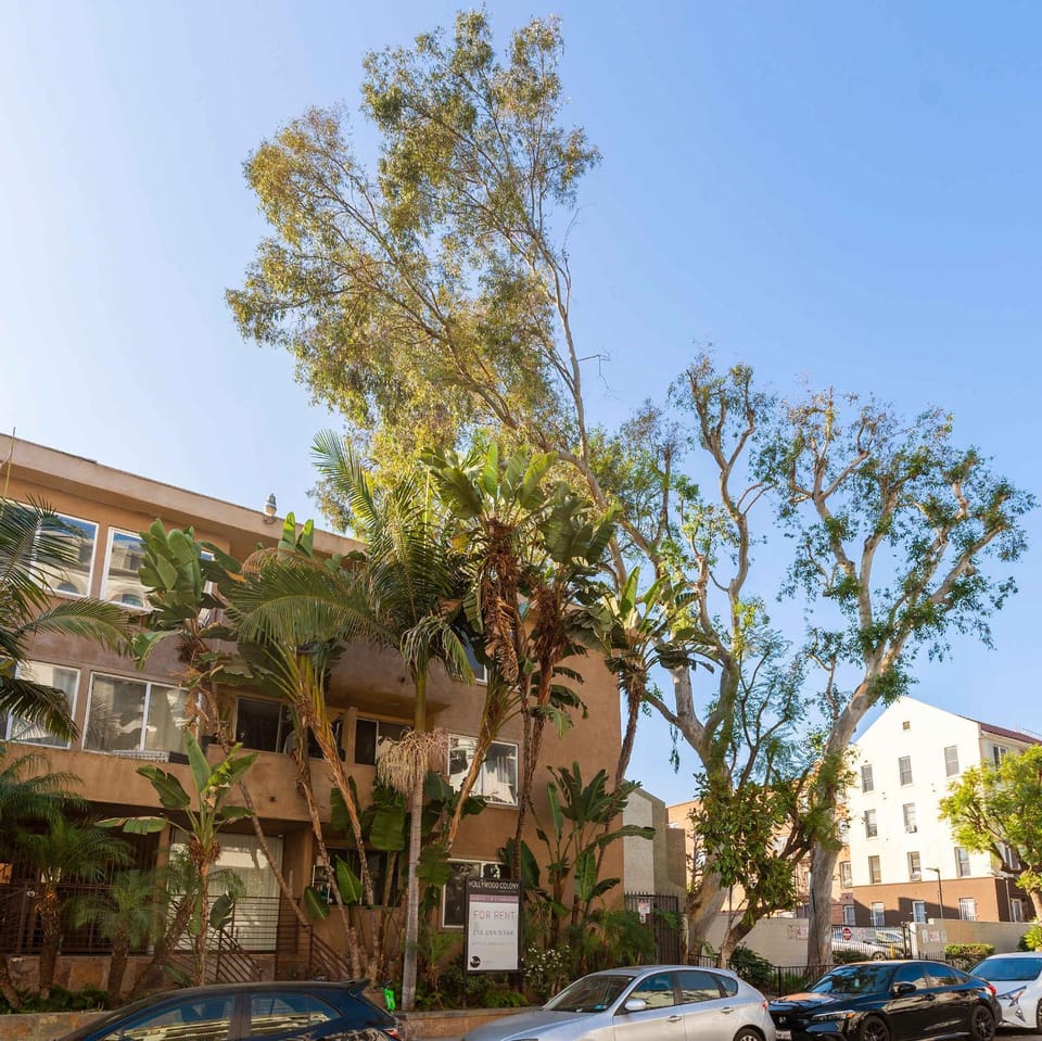 Mid-Century Modern Elegance in Hollywood w Parking Apartment in Hollywood