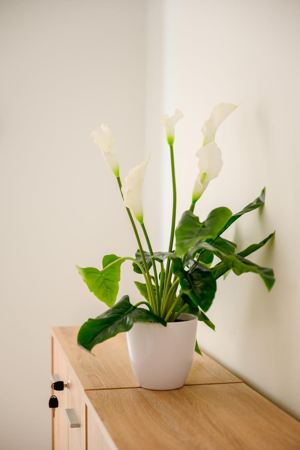 F8-2 Bedroom Ensuite Sliema Vacation rental in Sliema