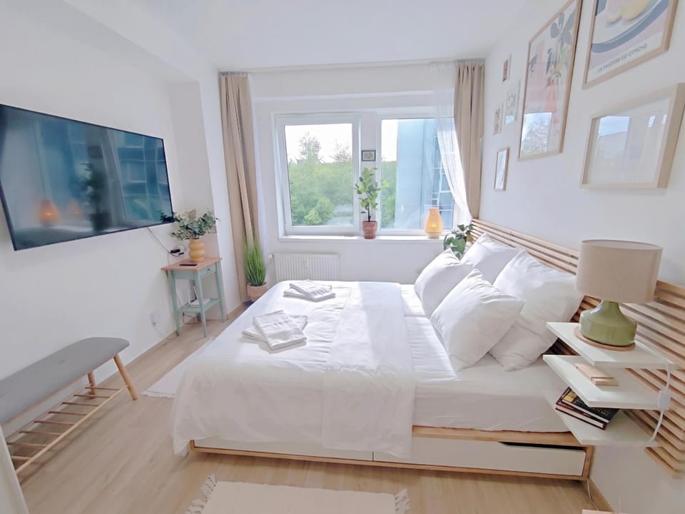 Bed, TV and multimedia