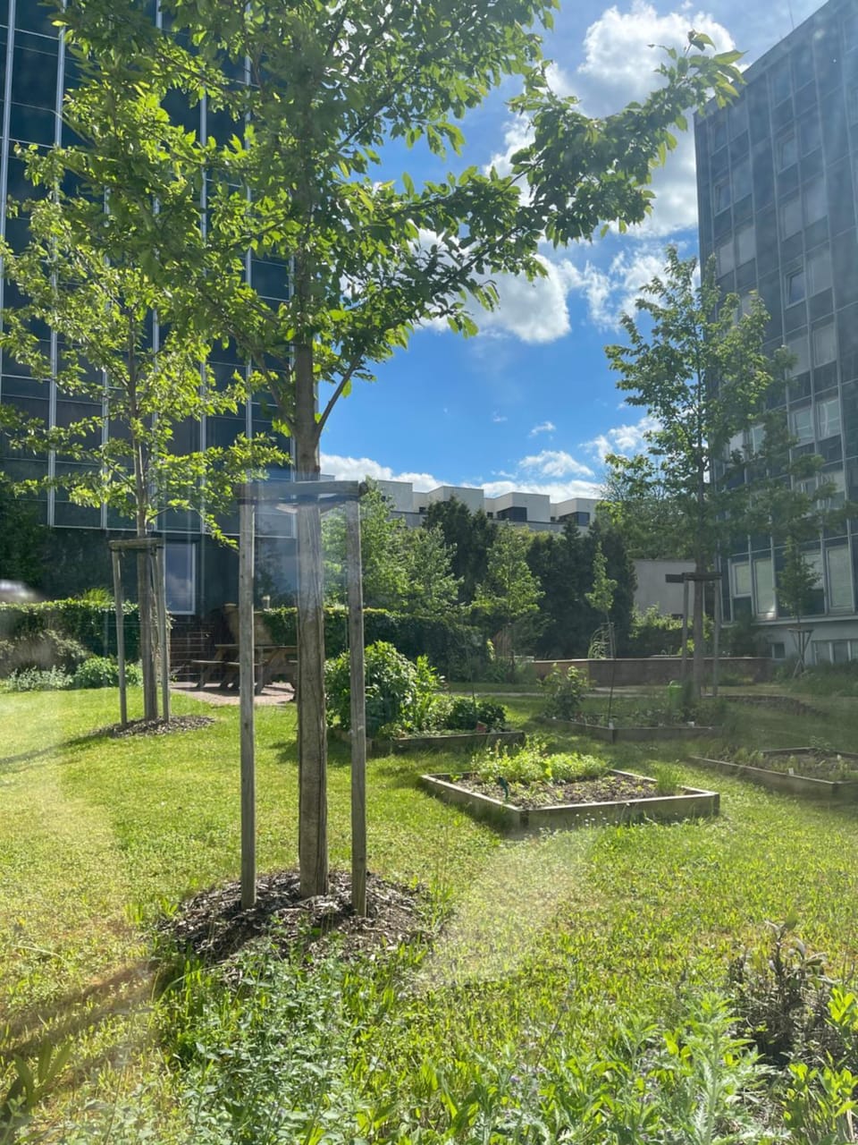 Garden