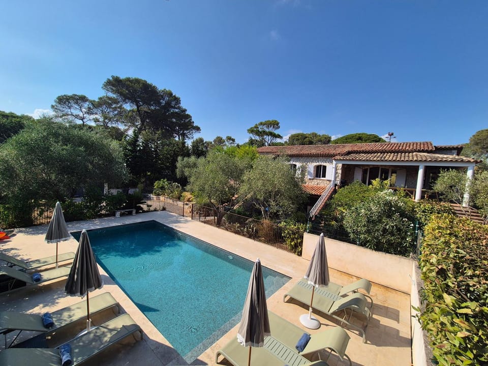 Pool view, Swimming pool, Swimming pool