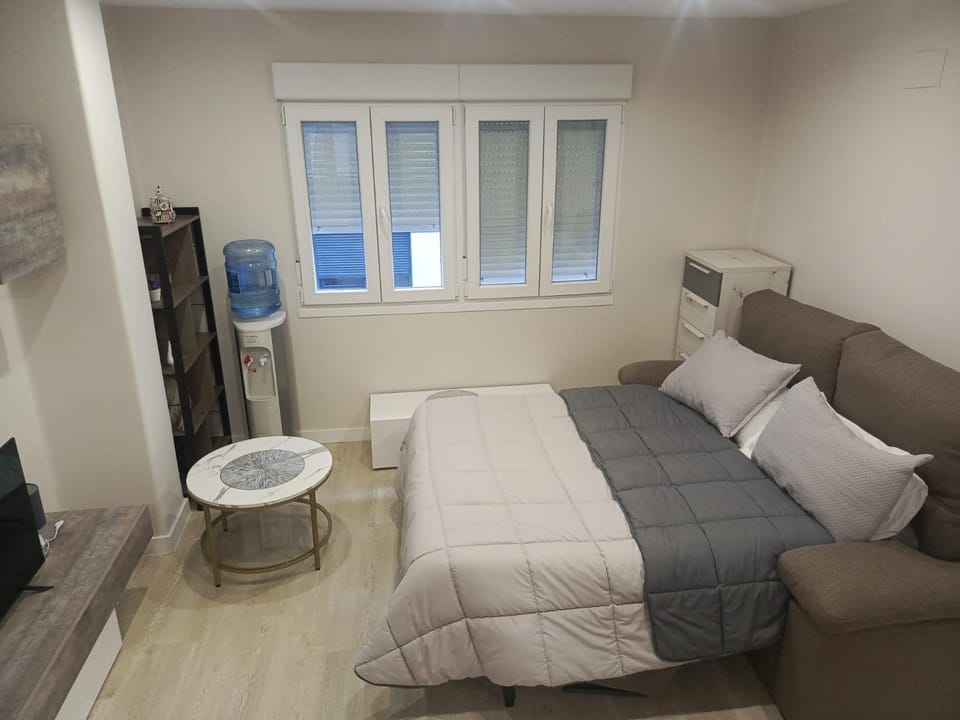 Piso Bedoya Apartment in Ourense