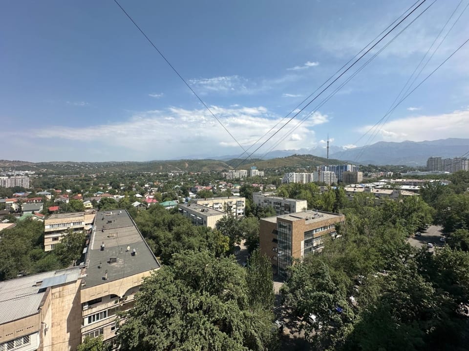 Comfort place with scenic vista Apartment in Almaty