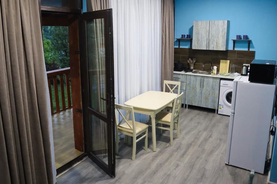 Kitchen or kitchenette, Dining area, stove