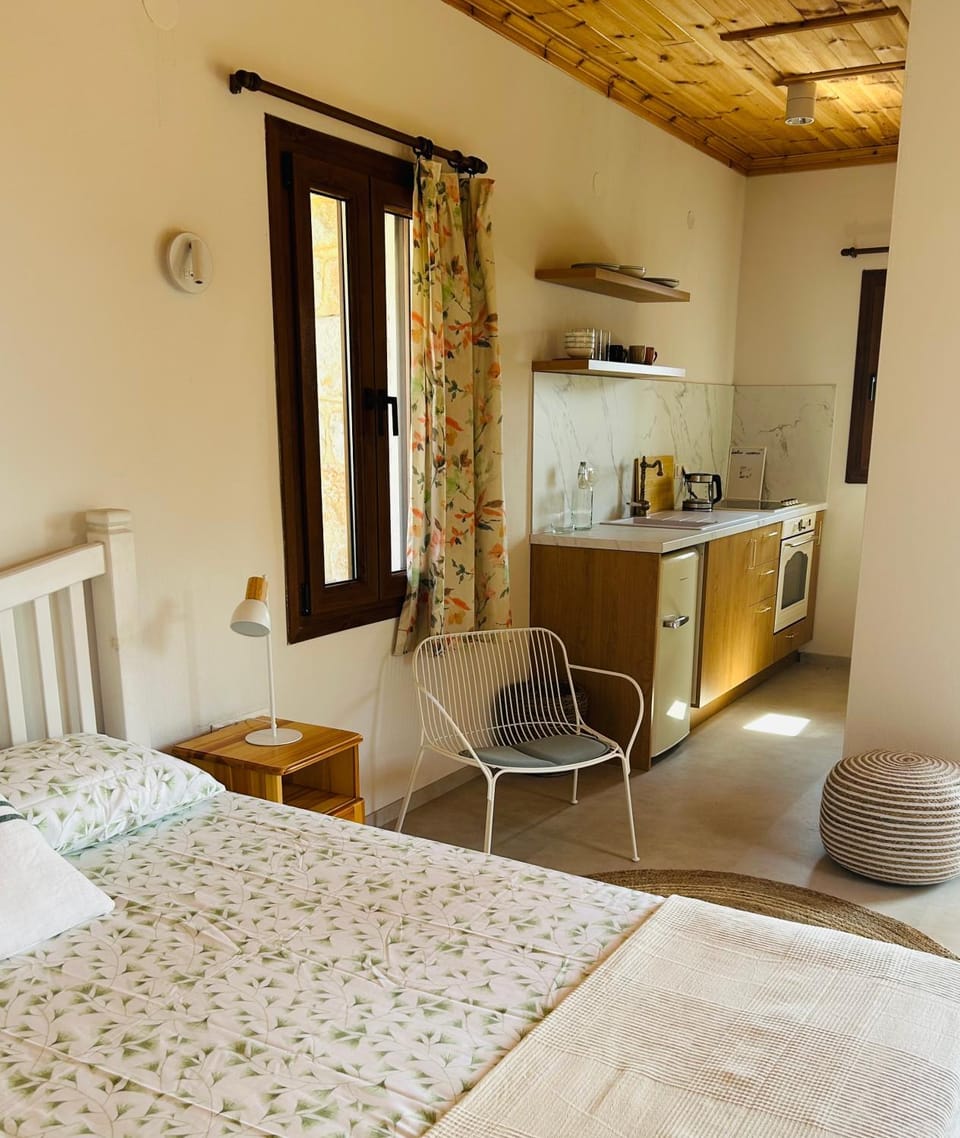 Kitchen or kitchenette, Bedroom