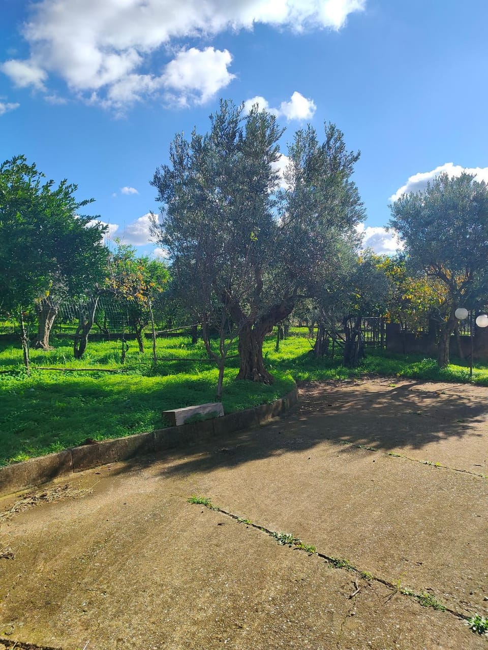 Natural landscape, Garden, Garden view
