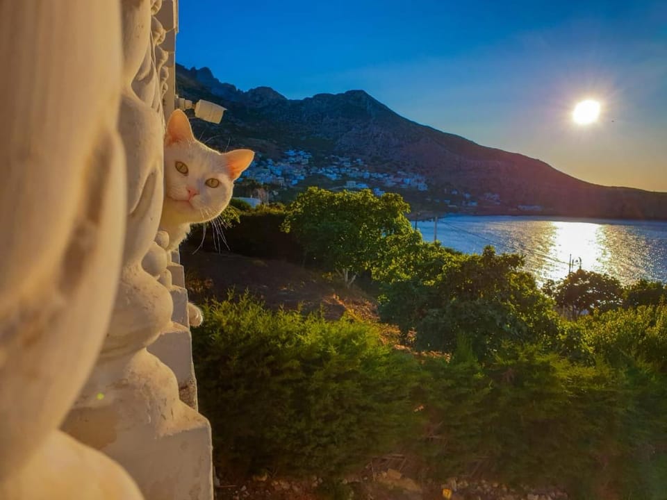 Mountain view, Sea view