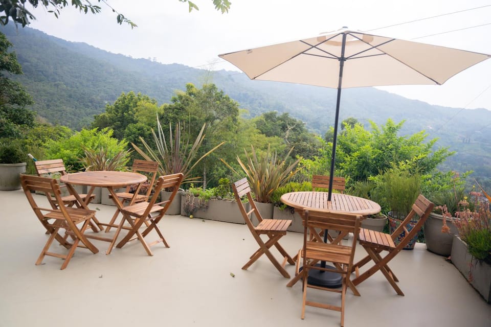 Restaurant/places to eat, Mountain view