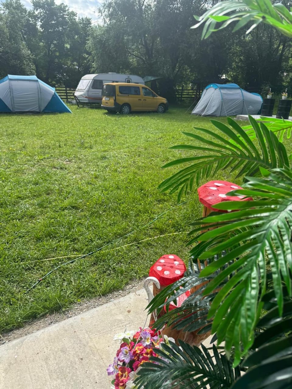 Camping -Dor de Munte -Ceahlau Campground/ 
RV Resort in Romania