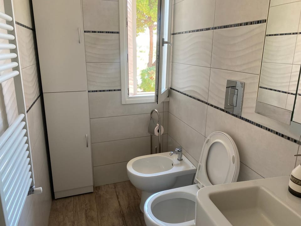 Shower, Toilet, Bathroom, bidet