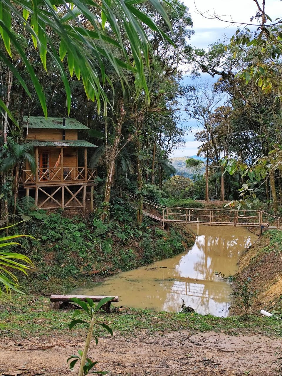 Natural landscape