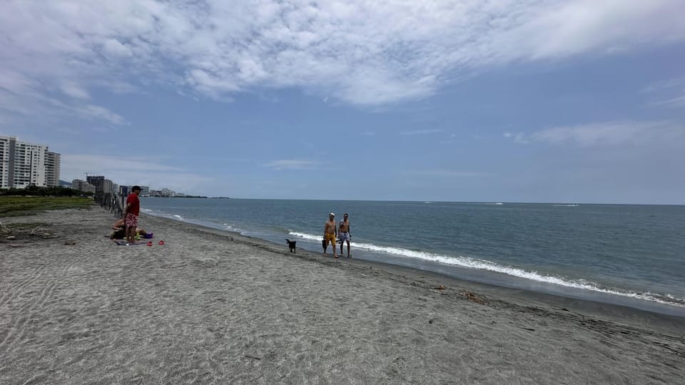 Day, People, Natural landscape, Beach, Sea view, children, group of guests
