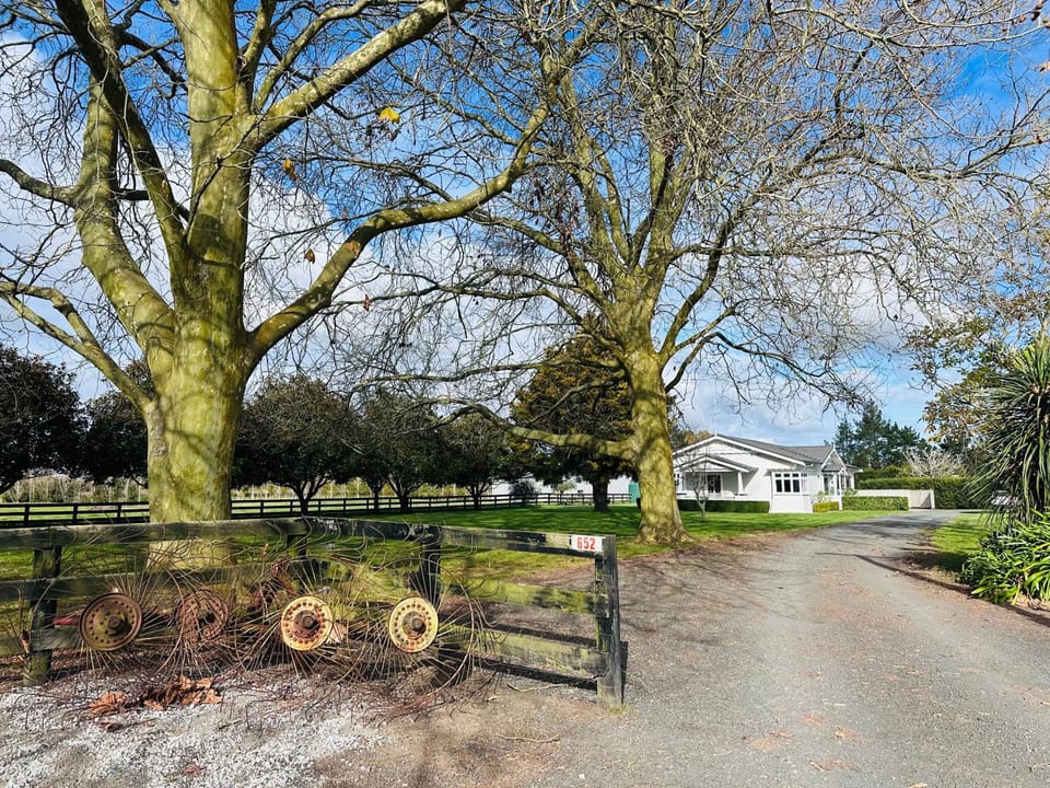 Natural landscape, Garden view