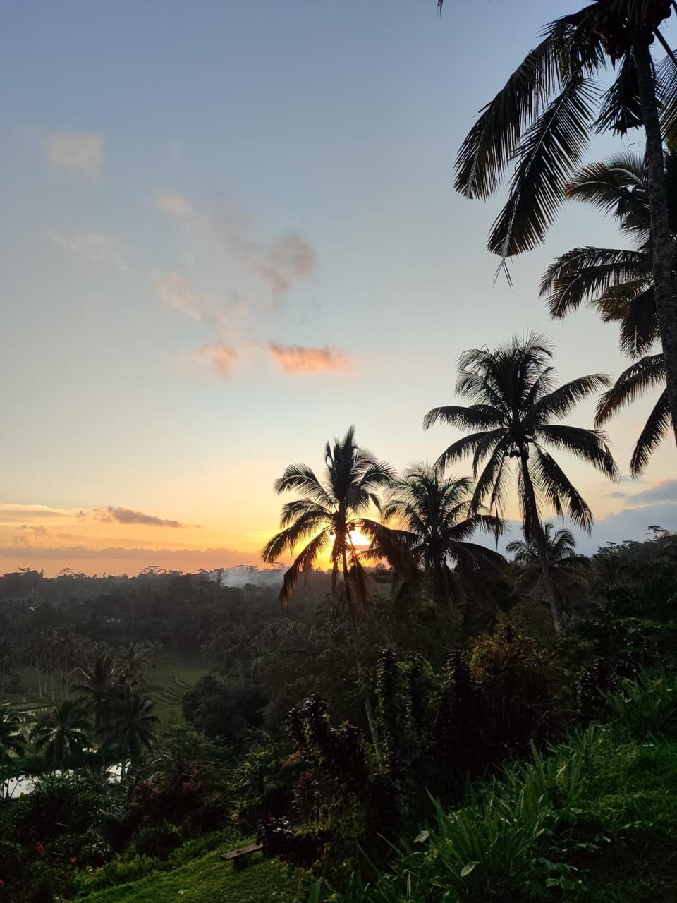 Natural landscape, Sunset