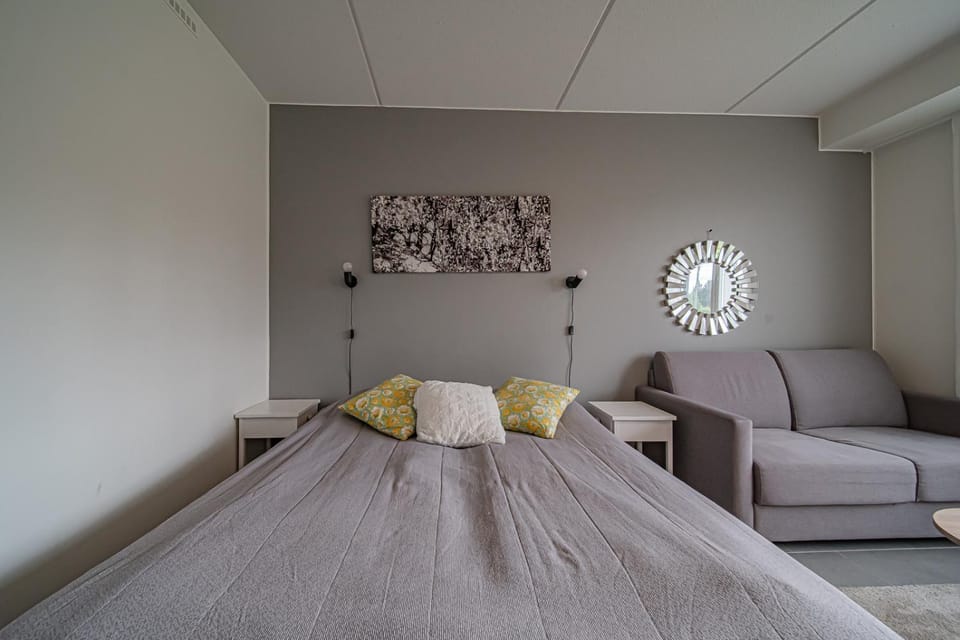 Bed, Living room, Photo of the whole room, Seating area, Bedroom, heating, internet, towels