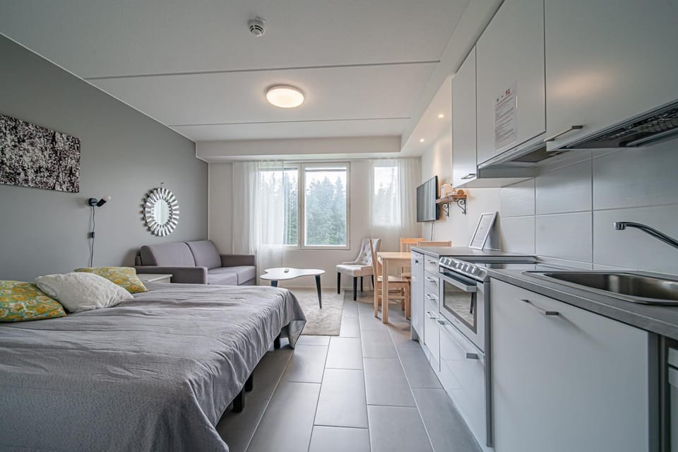 Bed, TV and multimedia, Kitchen or kitchenette, Living room, Photo of the whole room, Seating area, Dining area, Bedroom, heating, internet