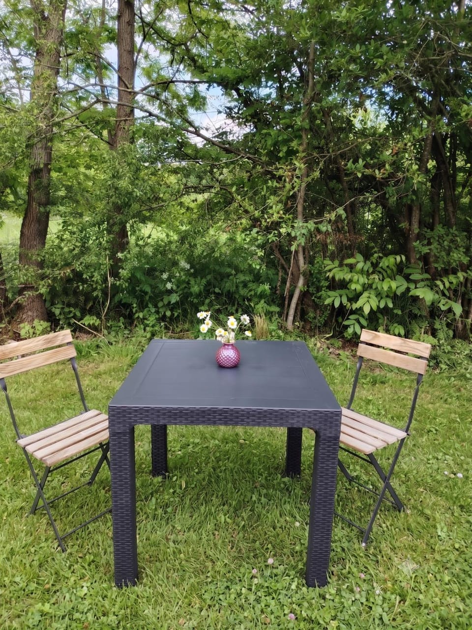 Garden, Seating area