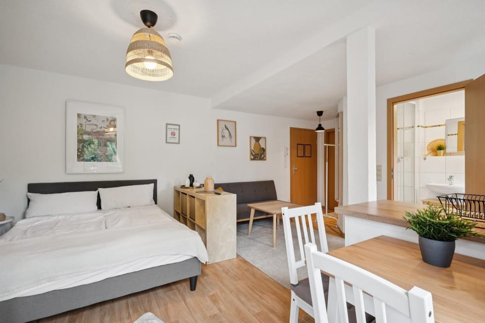 Bed, Living room, Photo of the whole room, Seating area, Bedroom