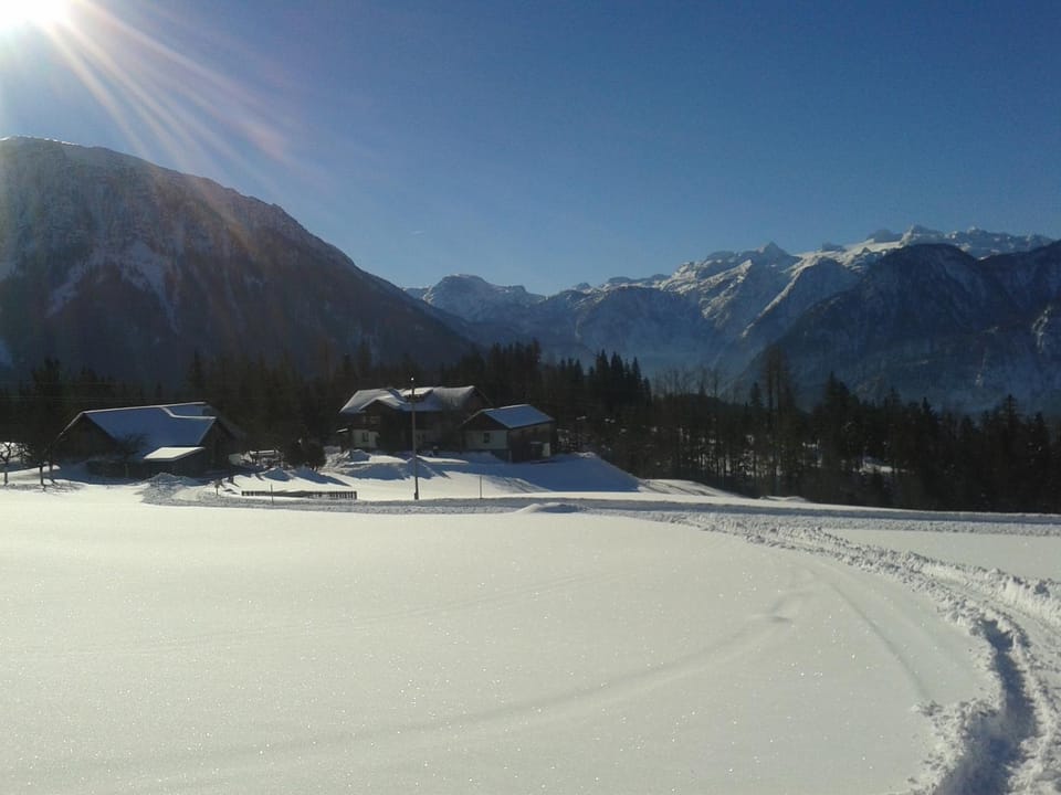 Property building, Winter