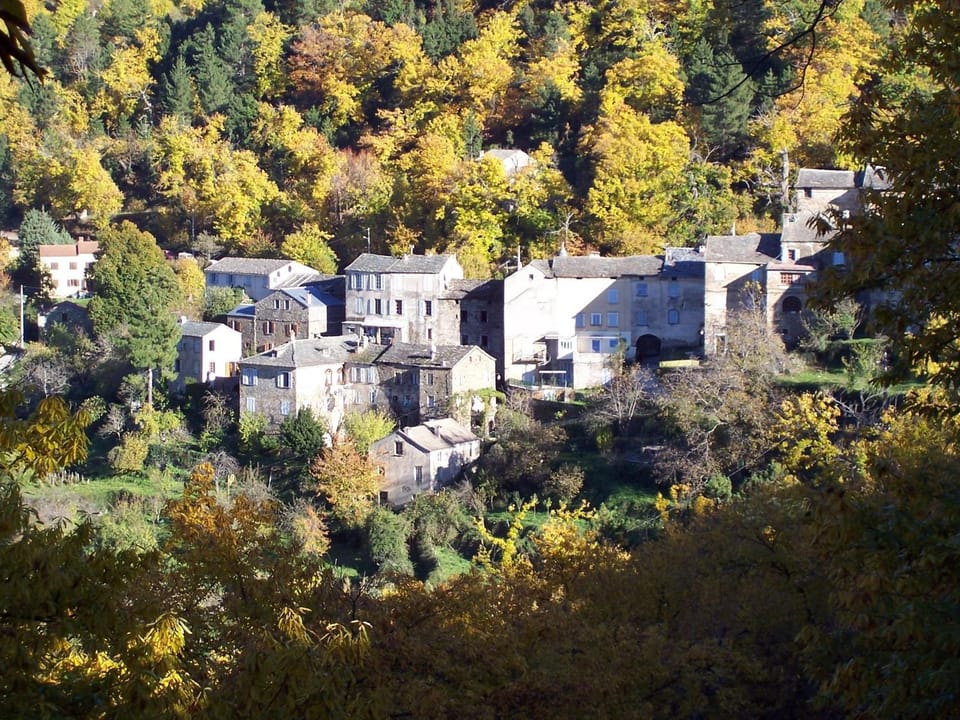 Natural landscape