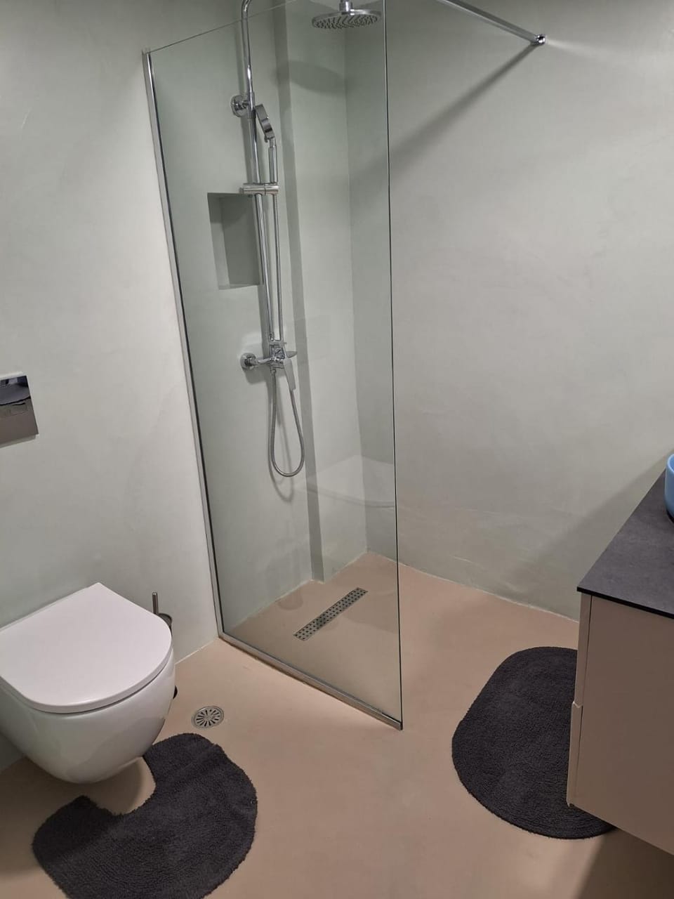 Shower, Toilet