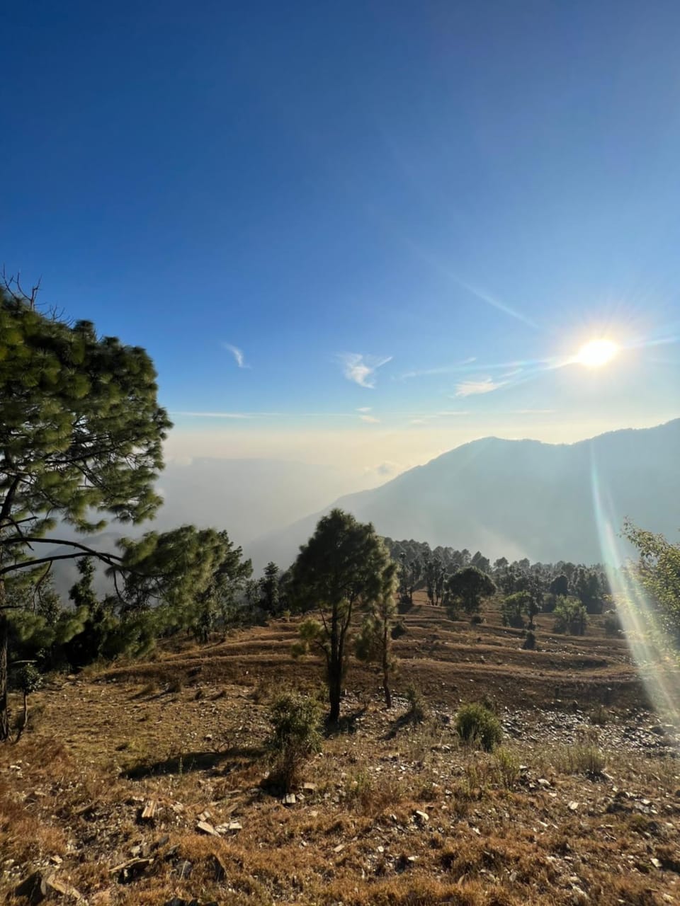 Onces Upon A Forest, Pangot,Nainital 4BR Homeyhuts House in Uttarakhand