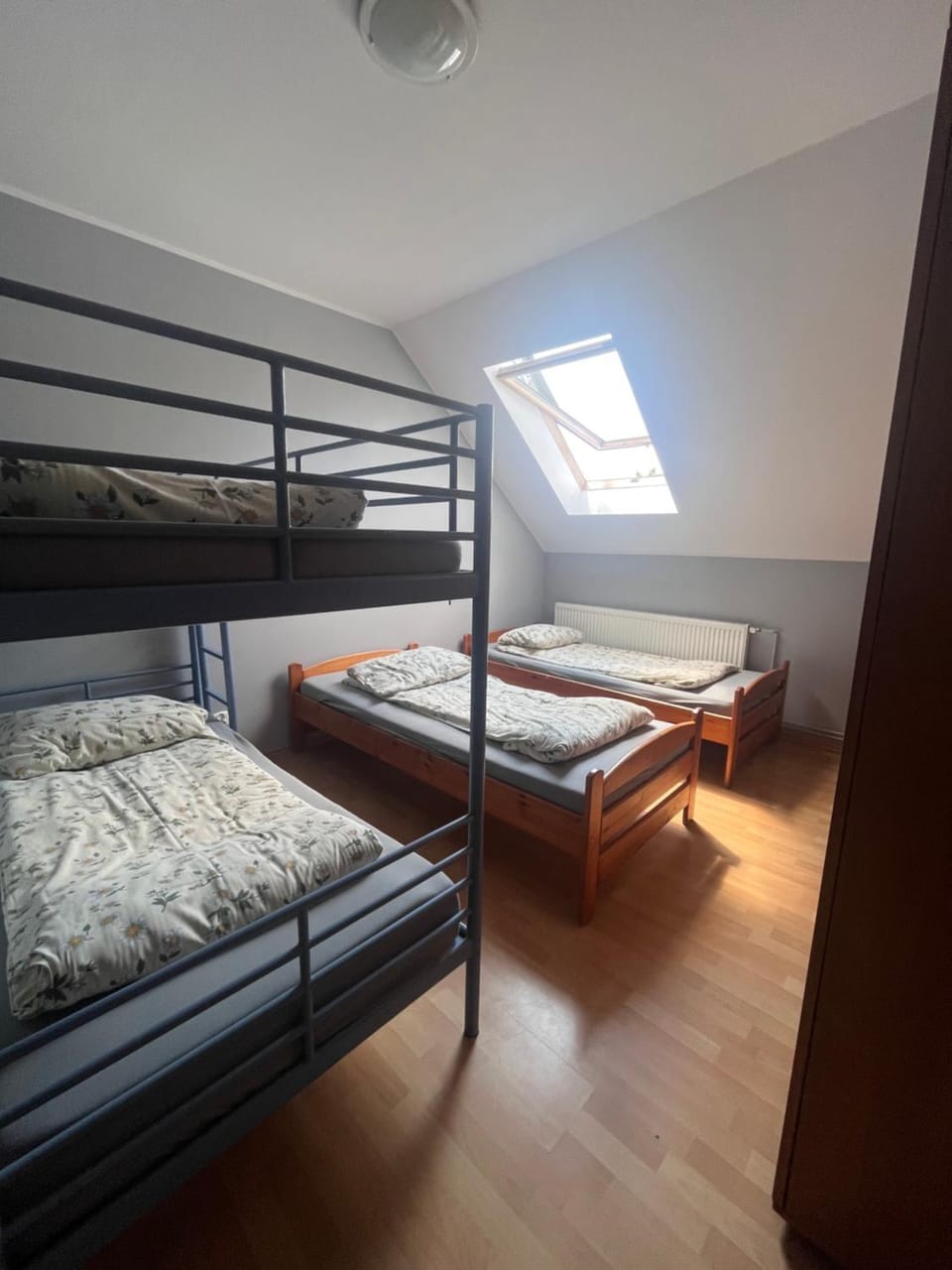 Bed, Photo of the whole room, Bedroom, bunk bed