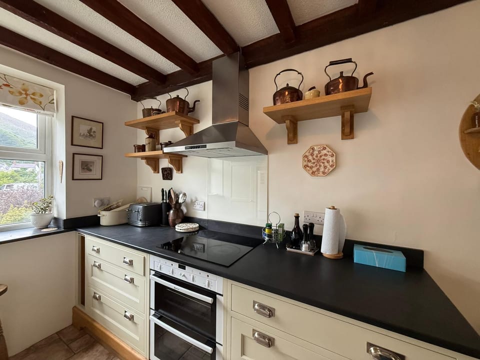 pet friendly, stove, kitchen