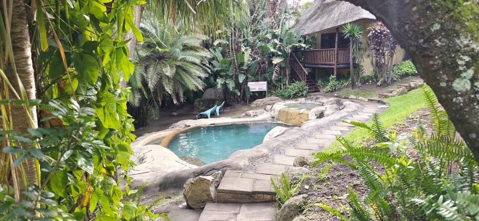 Spring, Day, Natural landscape, Garden, Garden view, Pool view, Swimming pool