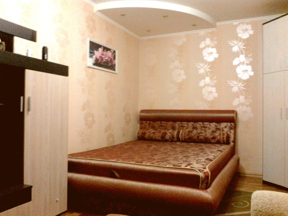 Petropavlovskaya Apartment in Ukraine
