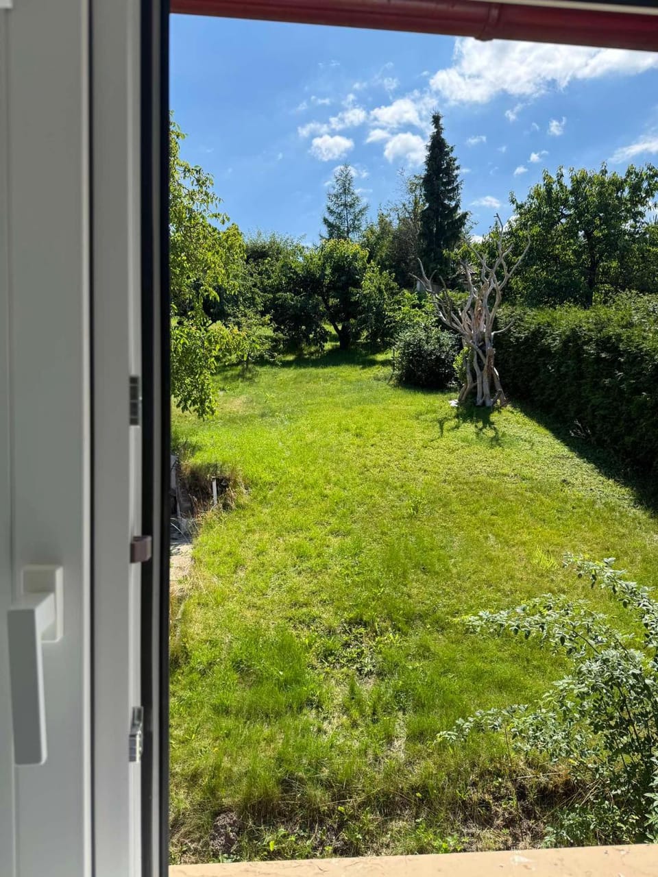 Spring, Day, Natural landscape, Garden, Garden view