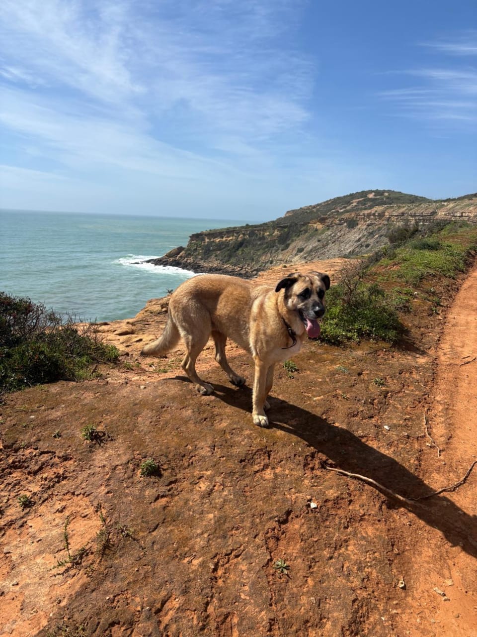 Quinta Madrugada Burgau Bed and Breakfast in Luz