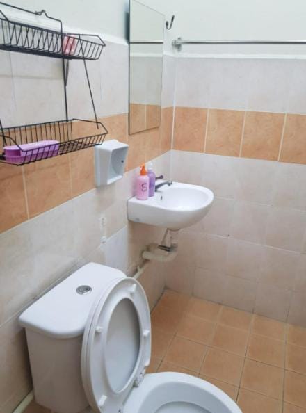 Shower, Toilet, Bathroom, bidet