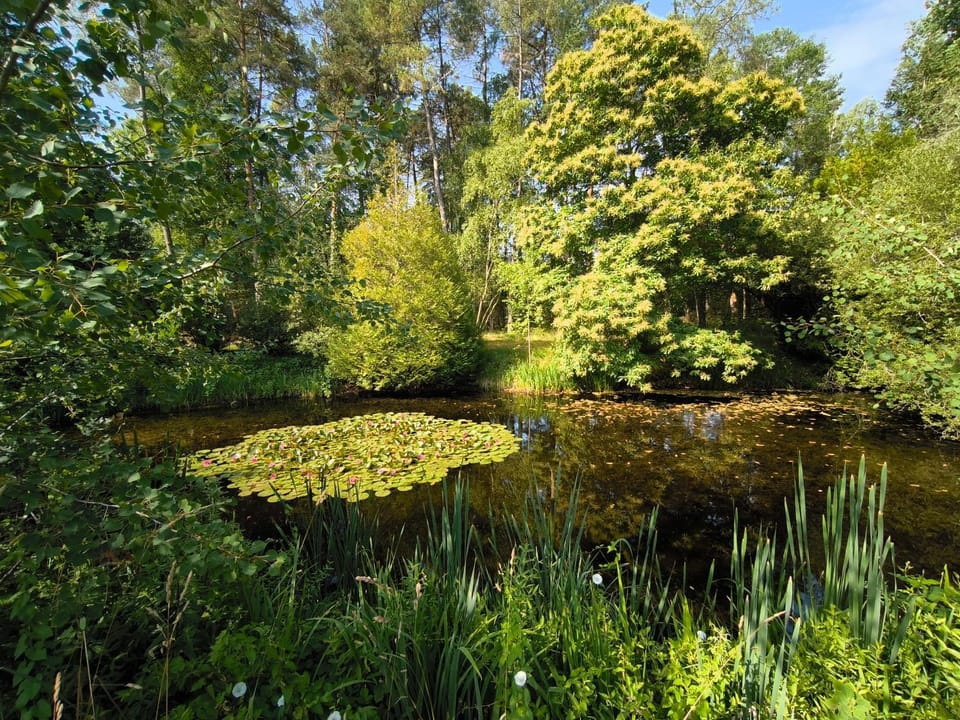 Natural landscape, Garden, Garden view