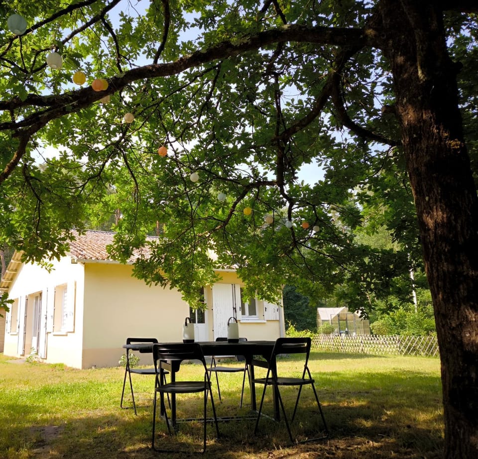 Natural landscape, Garden, Garden view