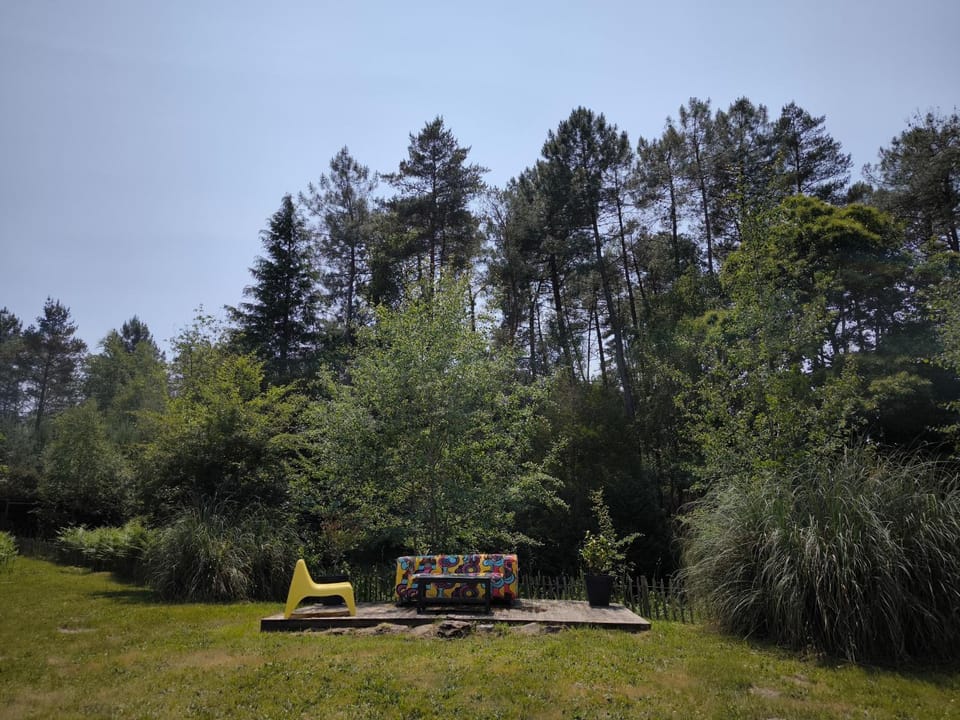 Natural landscape, Garden, Garden view