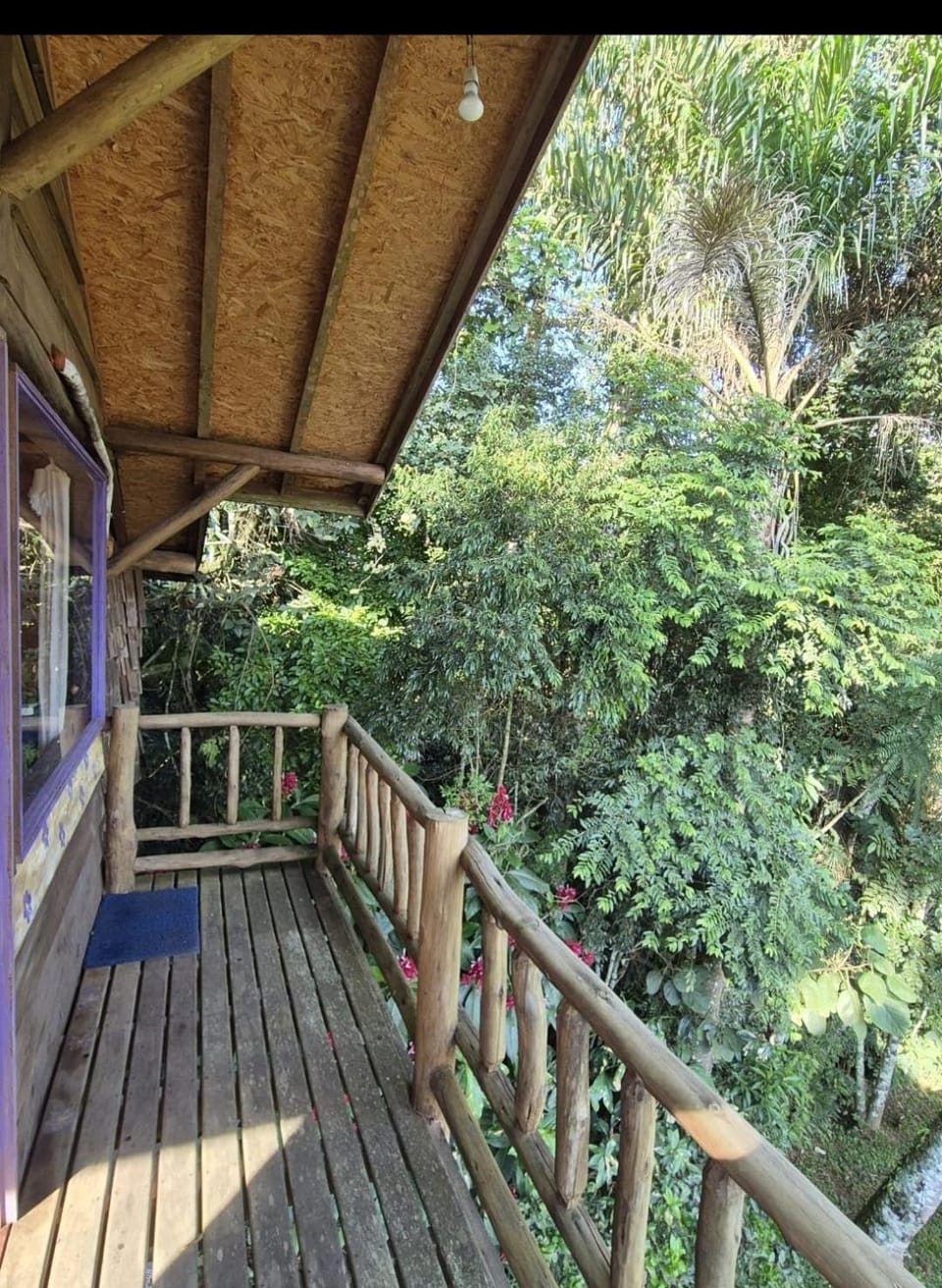 chalé Ateliê Nature lodge in State of Rio de Janeiro