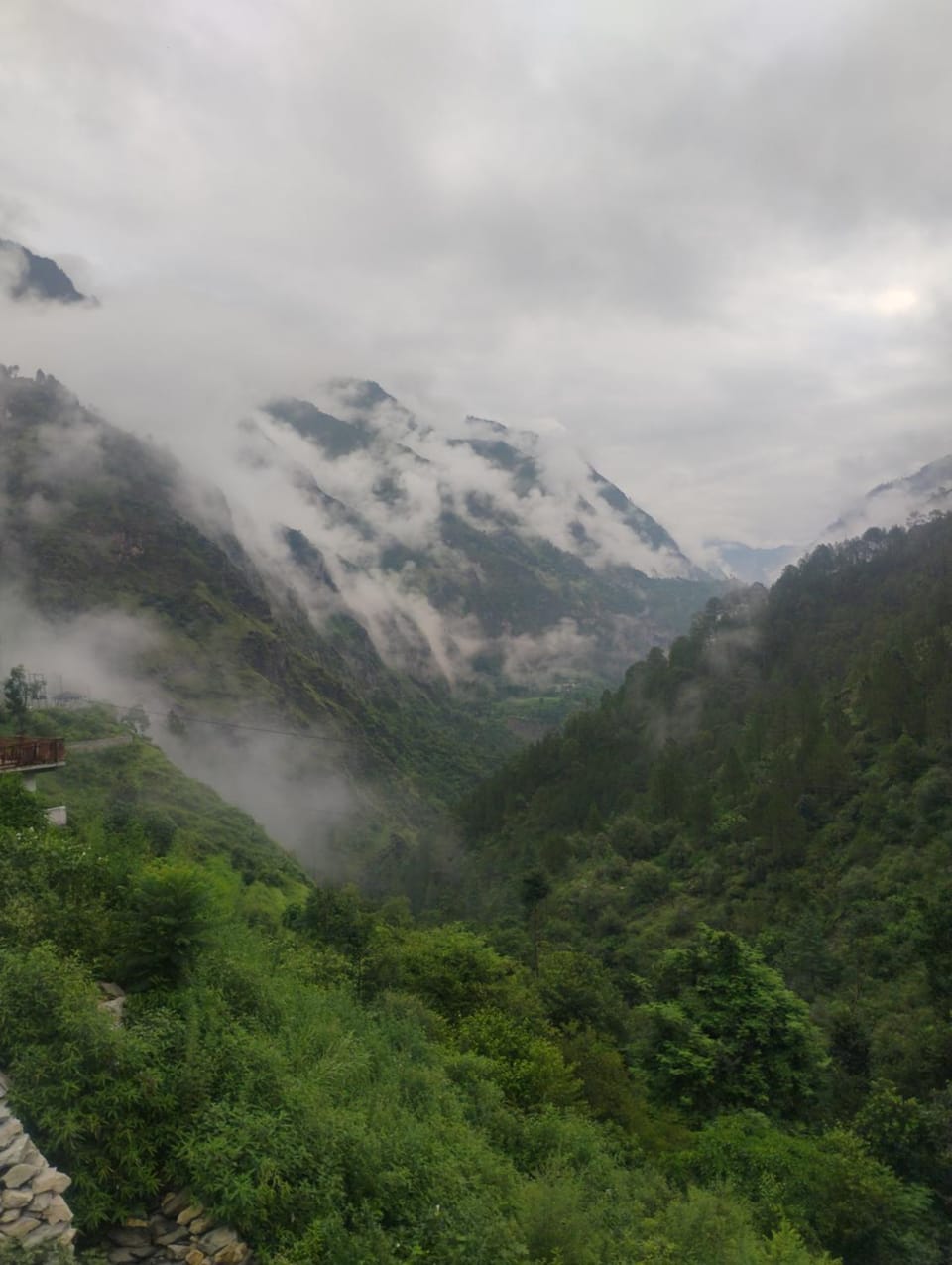 Natural landscape