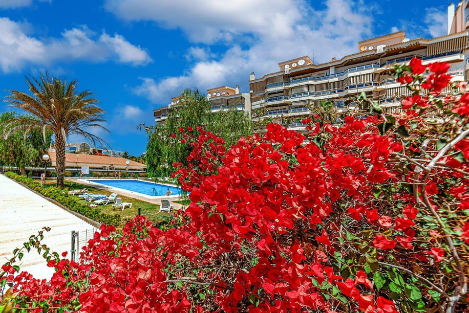 Property building, Garden, Garden view, Pool view