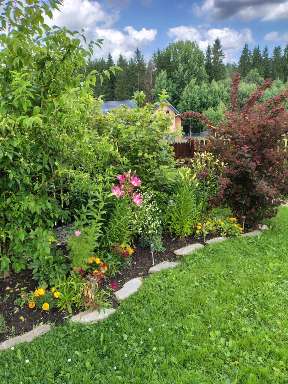 Spring, Day, Natural landscape, Garden, Garden view