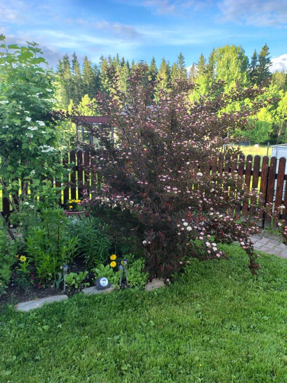 Spring, Day, Garden, Garden view
