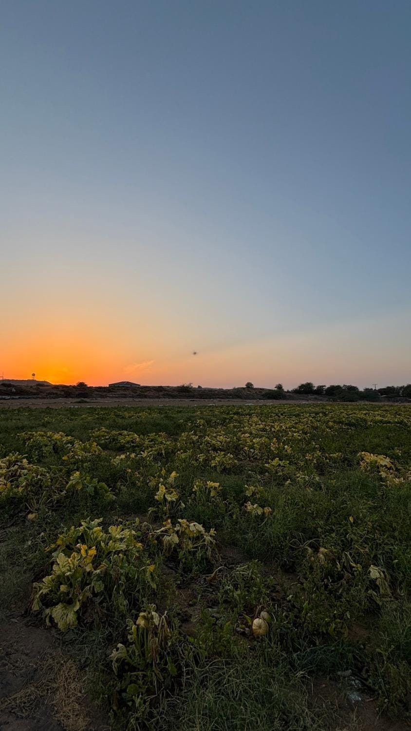 Vanstay glamping in a 25 acre farm Campground/ 
RV Resort in Ras al Khaimah