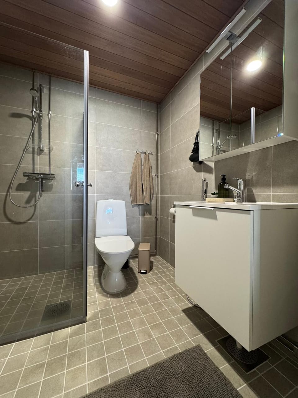 Shower, Toilet, Bathroom, towels