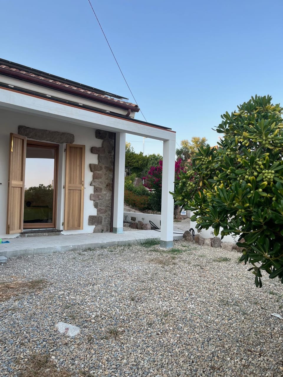 Day, Garden, Garden view