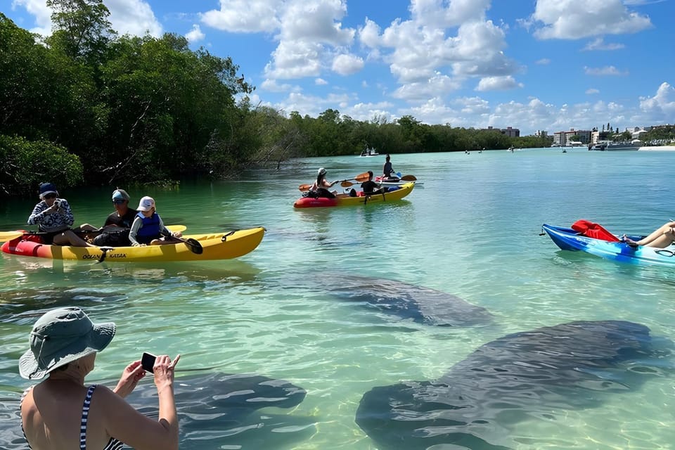 Activities