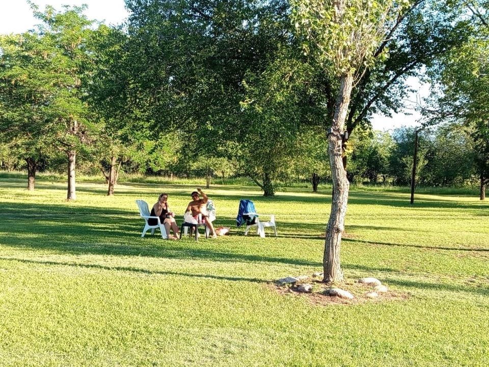 Natural landscape, Garden, Garden view