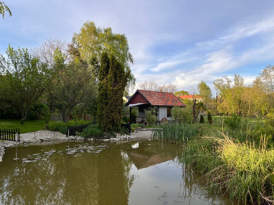 Day, Natural landscape, Lake view