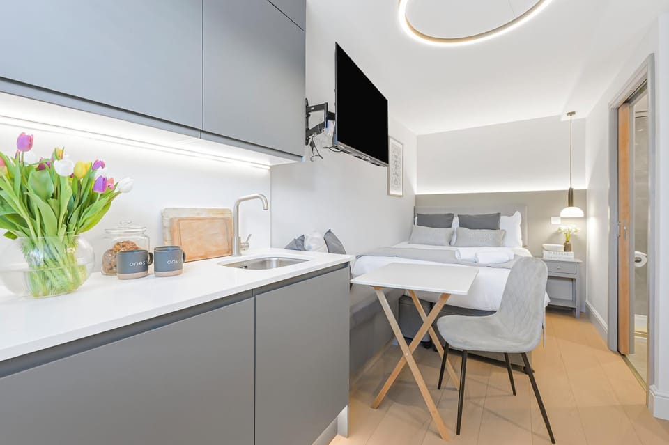 Bed, TV and multimedia, Kitchen or kitchenette, Photo of the whole room, Seating area, Dining area, Bedroom