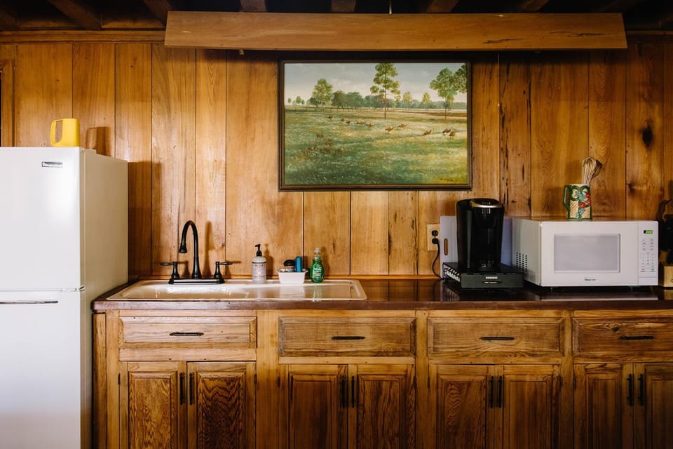 Governor Cabin Cabin in Georgia